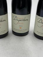 2023 Domaine Dujardin Les Vignes Rondes - Monthelie 1er, Nieuw