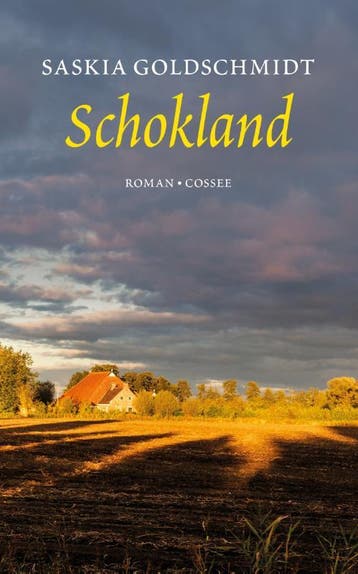 Schokland 9789059368040 Saskia Goldschmidt, Verzenden, Gelezen, Saskia Goldschmidt