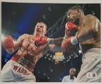 Micky Ward vs Arturo Gatti - Foto, Collections