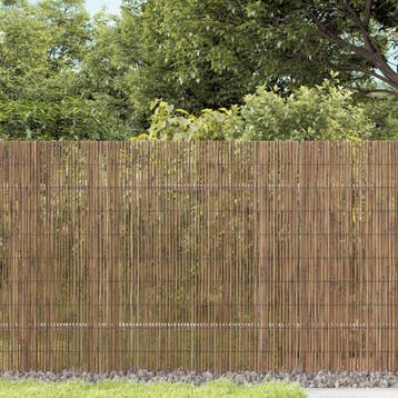 vidaXL Tuinscherm 1000x90 cm riet, Tuin en Terras, Verzenden, Nieuw