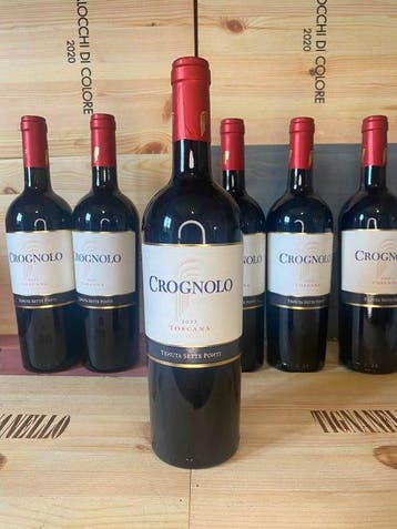 2021 Tenuta Sette Ponti, Crognolo - Toscane IGT - 6, Nieuw