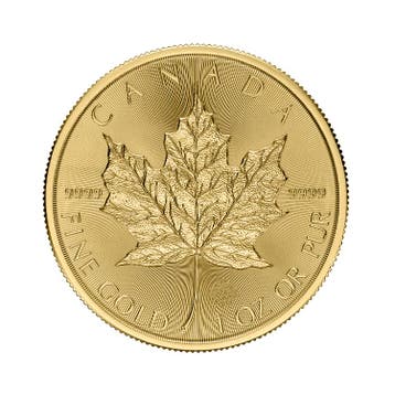 Gouden Maple Leaf munt 2026 1 troy ounce