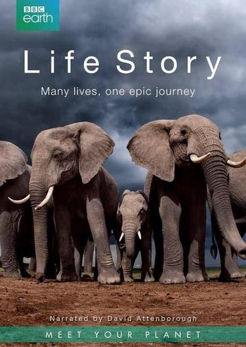 BBC Earth - Life Story, Cd's en Dvd's, Verzenden, Nieuw in verpakking