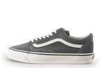 Vans Sneakers in maat 46 Grijs, Kleding | Heren, Schoenen, Overige kleuren, Verzenden, Zo goed als nieuw, Sneakers