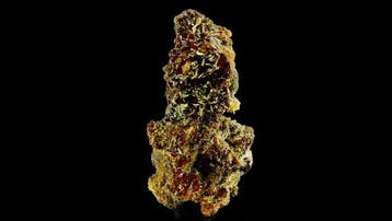 Mimetite - Mine de Tsumeb, Oshikoto, Namibie - Hauteur : 7.8, Verzamelen