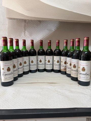 1981 Bodegas Peñalba Lopez, Torremilanos (Incl. OWC) -, Verzamelen, Wijnen, Nieuw