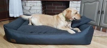 Hondenbed 120x90 | Comfortabel | Nieuw | Scherpe Prijs, Dieren en Toebehoren, Ophalen of Verzenden, Nieuw, Polyester
