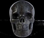 665 g 10,00 × 7,30 cm Elimia-Fossilstein (Fossile escargots)