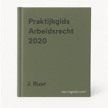 Praktijkgids Arbeidsrecht 2020 9789462156708 J. Buur, Boeken, Economie, Management en Marketing, Verzenden, Zo goed als nieuw