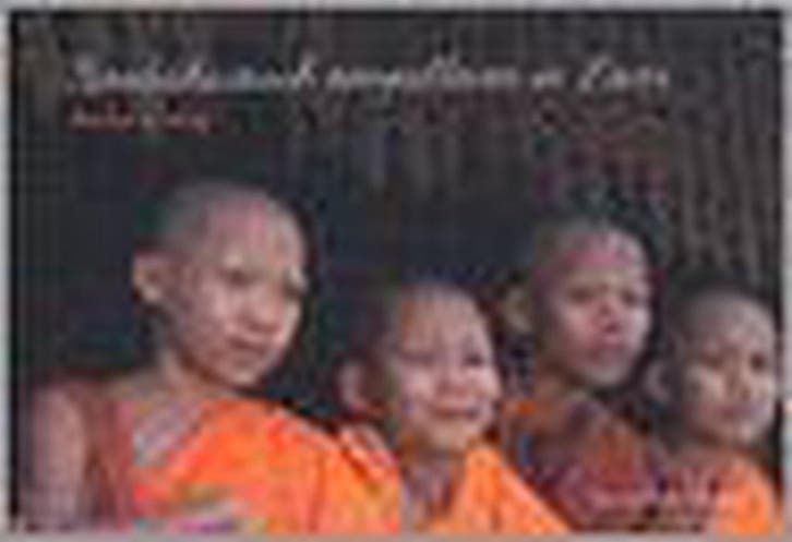 Boeddhistisch tempelleven in Laos 9789053304549 I. Schrama, Livres, Art & Culture | Photographie & Design, Envoi