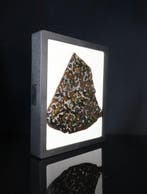 Météorite de Sericho Pallasites - 64 g - (1)