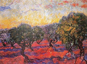 Vincent van Gogh (1853–1890) (after) - Oliveraie