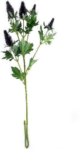 Erynchium Distel Zijdenbloem Blauw 77 cm per stuk, Hobby en Vrije tijd, Knutselen, Nieuw
