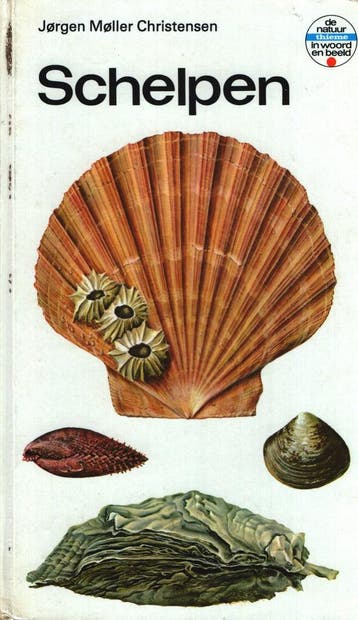Schelpen 9789003954008 Christensen, Boeken, Verzenden, Zo goed als nieuw, Christensen