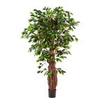 Kunstplant Ficus Liana Deluxe 240 cm, Maison & Meubles, Plantes d'intérieur, Verzenden