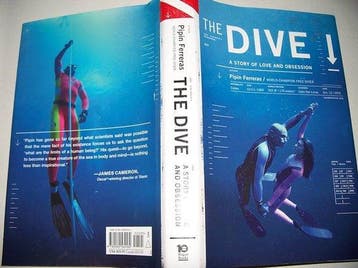The Dive 9780060564162 Pipín Ferreras, Verzenden, Pipín Ferreras