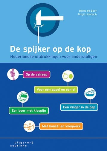 De spijker op de kop 9789046904510 Berna de Boer, Verzenden, Berna de Boer