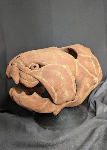 Fossiele schedel - Dunkleosteus terrelli - Museum-Grade
