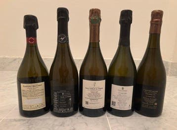 Gaspard Brochet, Tome V Chardonnay ‘La Pie’ Extra Brut, 2016, Nieuw