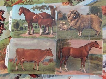 Themacollectie - Vintage M&P Engelse Scrap-/Handelskaarten -