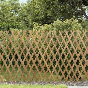 vidaXL Uitbreidbare Trellis Fence 2 pcs Lichtbruin 100 x 105, Verzenden, Nieuw
