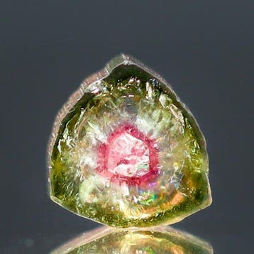 Schitterende Watermeloen-Toermalijn • 1,60 ct • Neonroze, Verzamelen