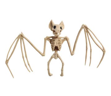 Halloween Vleermuis Skelet 30x16cm, Verzenden
