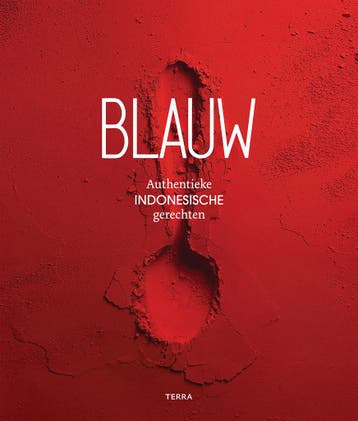 Blauw 9789089897756 Meta van den Boomen, Verzenden, Zo goed als nieuw, Meta van den Boomen