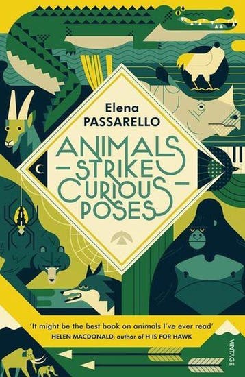Animals Strike Curious Poses 9781784707354 Elena Passarello, Boeken, Verzenden, Gelezen, Elena Passarello