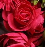 Camelia Ranonkel Rood Foambloem bundel 5 stuks, Nieuw