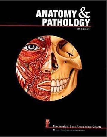 Anatomy & Pathology 9780781773560 Anatomical Chart Company, Boeken, Verzenden, Gelezen, Anatomical Chart Company