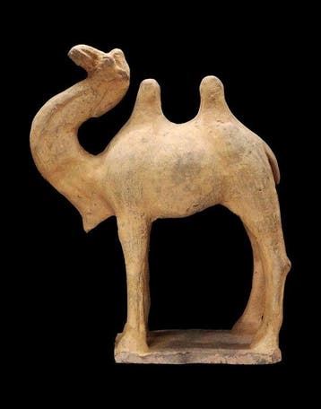 Oud-Chinees - keramische figuur - dromedaris - Tang-dynastie