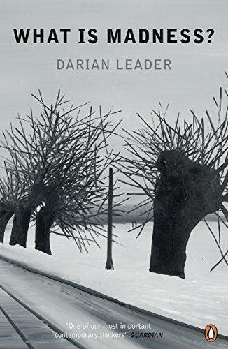 What is Madness 9780141047355 Darian Leader, Verzenden, Gelezen, Darian Leader