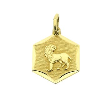 Gouden sterrenbeeld Leeuw hanger. (Hanger of bedel), Ophalen of Verzenden, Gebruikt, Goud, Overige merken
