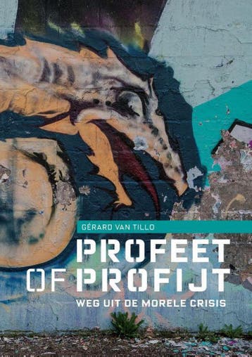 Profeet of profijt / Het Verschil / 7 9789463011600, Verzenden, Zo goed als nieuw, Gérard van Tillo
