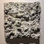 Bart Stillekens - Untitled, Antiek en Kunst