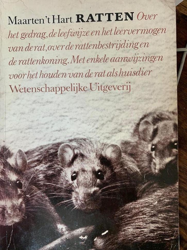 RATTEN 9789062877508 Jack Hart, Boeken, Wetenschap, Gelezen, Verzenden