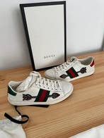 Gucci - Ace - Sneakers - Taille : EU 36.5, Nieuw