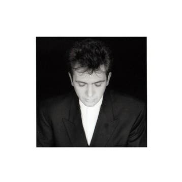 Peter Gabriel - Shaking The Tree (Sixteen Golden Greats), CD & DVD, CD | Dance & House, Verzenden