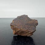 VACA MUERTA Mesosideriet, zeer zeldzaam om te vinden. - 33