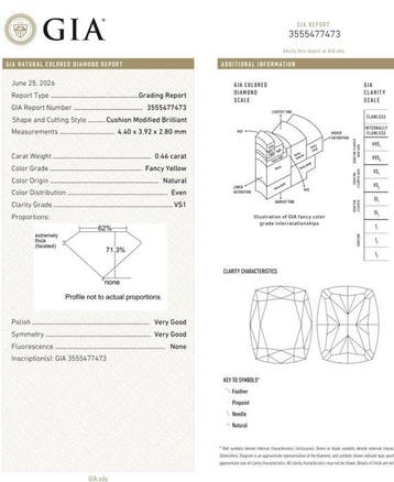 1 pcs Diamant (Natuurlijk gekleurd) - 0.46 ct - Cushion -, Nieuw