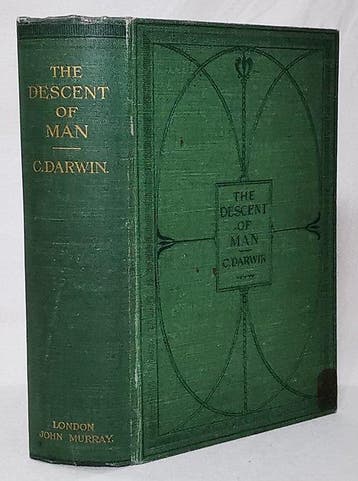 Charles Darwin - The Descent of Man and Selection in