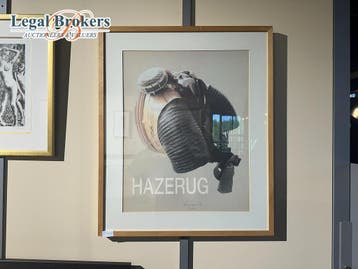 Panamarenko Hazerug, Ophalen of Verzenden, Zo goed als nieuw, Overige typen