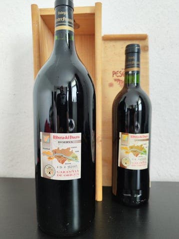 1996 & 1999 Alejandro Fernández Tinto Pesquera - Ribera del, Verzamelen, Wijnen, Nieuw