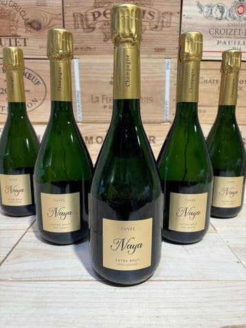 Naya de Riviere, Naya de Rivière Extra Brut - Champagne
