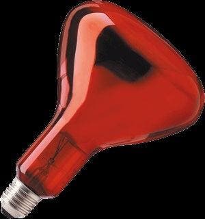 Philips Infraroodlamp met reflector - 57521025, Verzenden