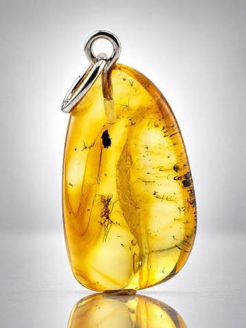 Pendentif en ambre miel-doré – Deux insectes hémiptères
