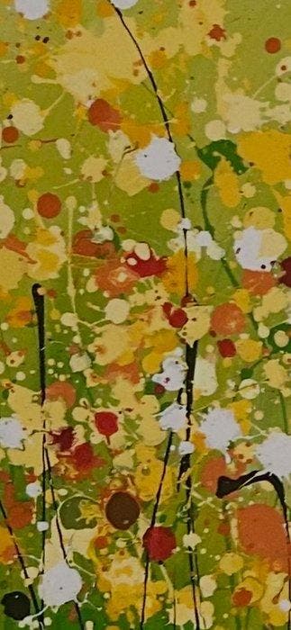 Helena Romano - IL nostro giardino secreto
