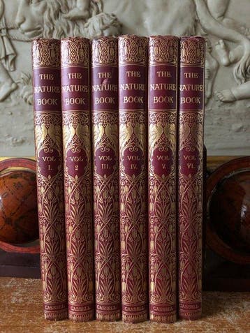 Collated - The Nature Book 6 Vols. - 1920, Antiek en Kunst