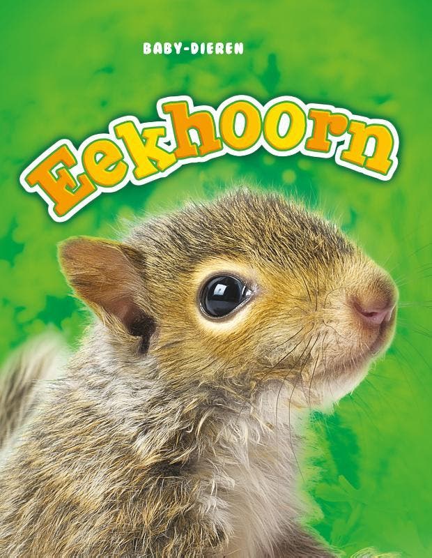 Eekhoorn / Baby-dieren 9789463412728 Megan Borgert-Spaniol, Livres, Livres pour enfants | Jeunesse | 10 à 12 ans, Envoi